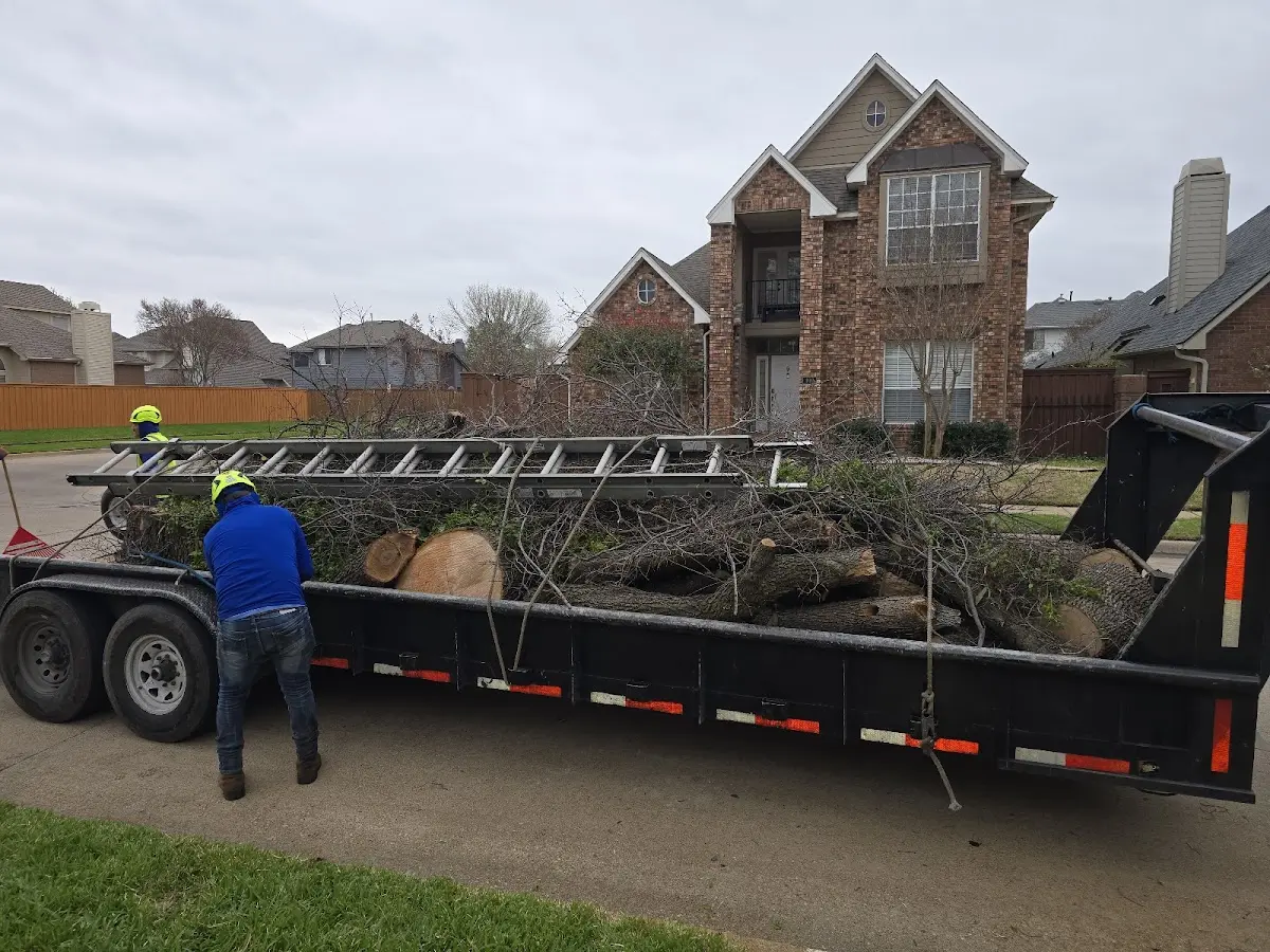 Expert Lot Clearing with proper safety equipment in La Crosse